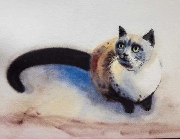 Cat 2 -Watercolor Painting 9X12 by QI HAN art