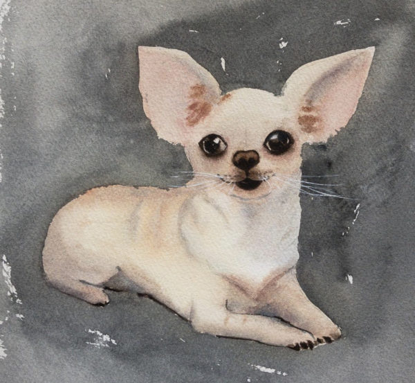 Dog 2 -Watercolor Painting 9X12 by QI HAN art