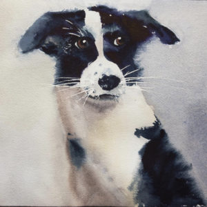 Dog -Watercolor Painting 9X12 by QI HAN art