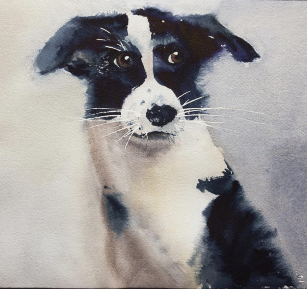 Dog -Watercolor Painting 9X12 by QI HAN art