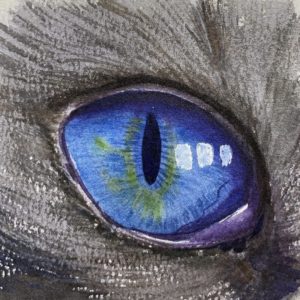 The eye-Watercolor Painting 9X12 by QI HAN art