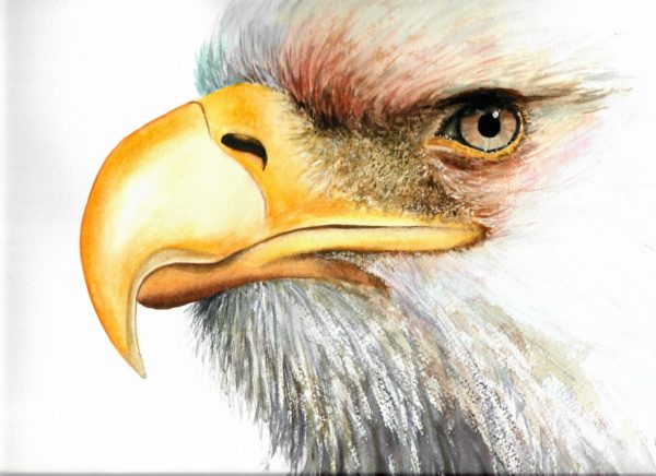 The look -Watercolor Paint 9X12 by QI HAN art