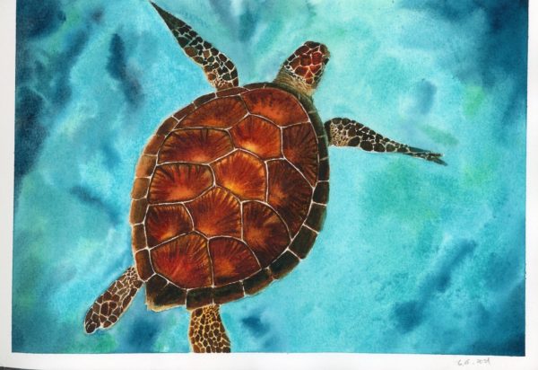 Cruising-watercolor-9x12by-Qi-Han-art