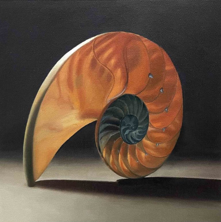 Nautilus Shell Oil painting by Qi Han Art