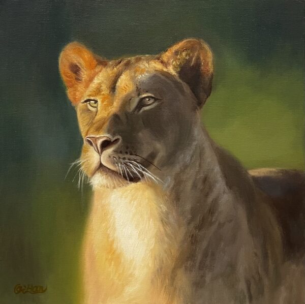 Lioness oil painting by Qi Han