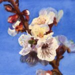qi han watercolor apple blossom brunch finished