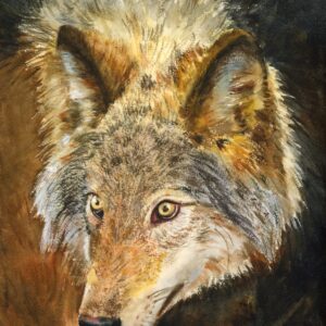 qi han wolf watercolor