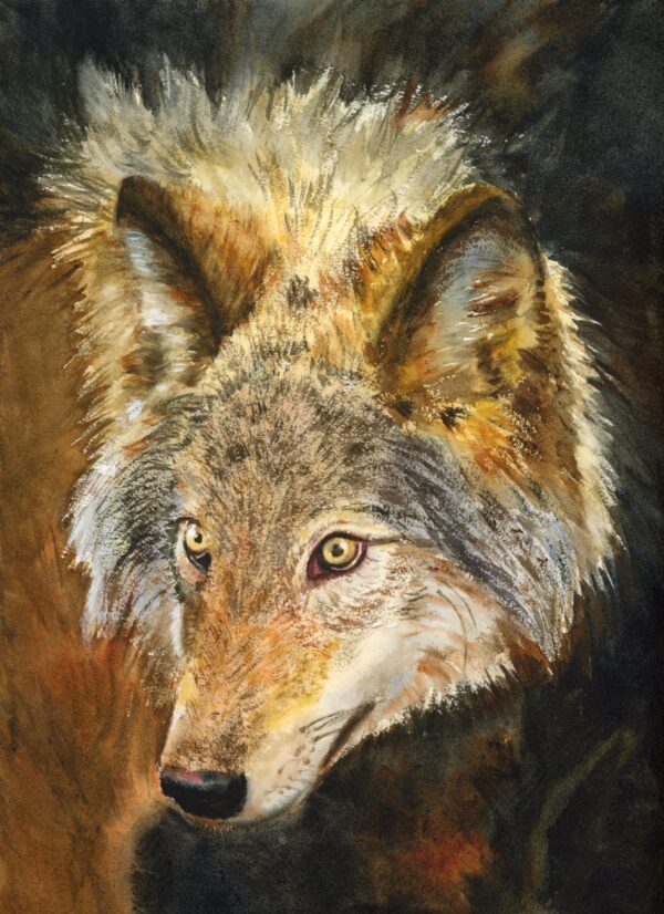 qi han wolf watercolor