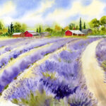 Qi han purple sea lavender watercolor