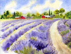 Qi han purple sea lavender watercolor