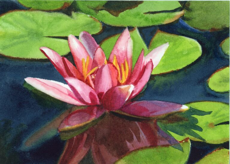 Qi han watercolor painting of a pink 5x7 2025