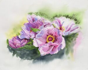qi han watercolor opulent peonies